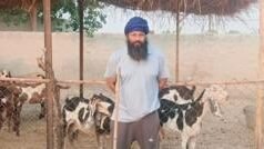 ਕੌਣ ਸੀ ਪਰਵਿੰਦਰ ਸਿੰਘ ਝੋਟਾ ਜਿਸ ਦਾ ਮਾਨਸਾ ਵਿੱਚ ਗੋਲੀਆਂ ਮਾਰ ਕੇ ਕਤਲ ਕਰ ਦਿੱਤਾ ਗਿਆ, ਉਸ ਨਾਲ ਕੀ ਵਿਵਾਦ ਜੁੜੇ ਰਹੇ