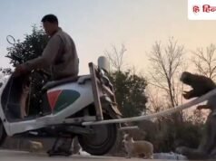 बाइक के पीछे कुत्तों के दौड़ने से था परेशान, फिर बनाया गजब का जुगाड़; VIDEO