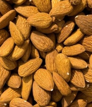 Country_Consumes_The_Most_Almonds_not_India_1793001003055_jZkr_1793001003159_fpHl_036617cb-35f6-4540-b024-4082d808f943_Moua.jpg