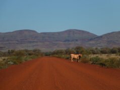 WA transport sector calls for defence input on North West logistics network