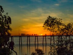 OPINION: Level playing field needed for local and Indigenous business in regional WA