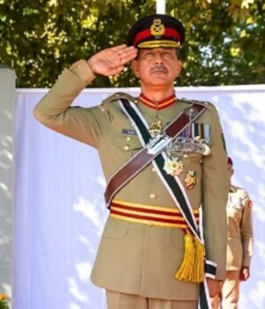 General_Syed_Aamer_Raza_1792310435357_tR7G_1792310439298_Bmq5_045bb548-d016-4347-bbed-a54b88ceee4e_y2e6.jpg