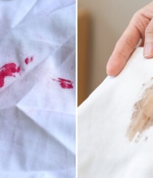 How_to_remove_foundation_or_lipstick_stain_1790843134577_Gfz2_1790843134676_oXyZ_d27235f3-bbd3-4cc0-a6b9-34949892d7eb_5Fqr.jpg