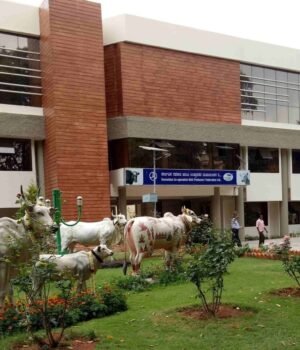 Karnataka_Milk_Federation_1791273319562_I9wQ_1791273324165_bf3I_a61289b9-a75b-49d6-95ec-f82a30574fe8_BUBY.jpg