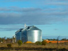 WA government delays implementation of new phosphine limits