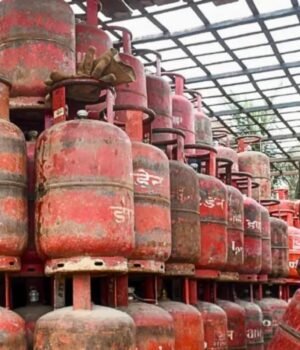 LPG_1791554489086_hPAP_1791554489528_QgCK_75ec63cb-ca46-4314-8a17-adb850f3b933_7MlN.jpg