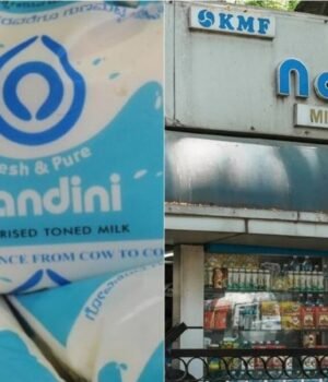 NANDINI_MILK_IN_SIZE_PIC_1732192990769_1793278554607_750K_89035ddc-aac0-462c-bc57-82e5708bbba5_dE7B.jpg