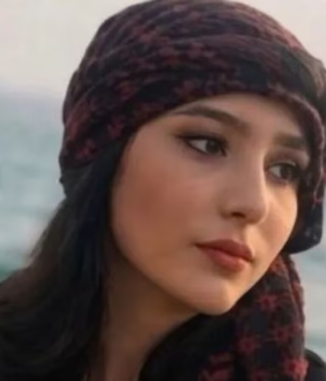 Najmeh_Amini_1791987094131_9DRo_1791987099760_81jQ_4707ff1b-d921-47d9-88e7-6dec28837eac_sNKe.png