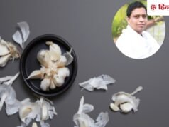 कोलेस्ट्रॉल से बीपी तक! खाली पेट लहसुन खाने के ये हैं फायदे, आचार्य बालकृष्ण ने बताया