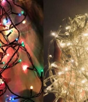 Reuse_old_lights_Diwali_decoration_1793462063918_evoF_1793462068730_qxlz_c9b47d5d-b50b-4411-8dfd-69cc8d91a96c_mniq.jpeg