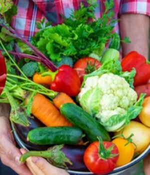 Vegetables_1793440245573_od3z_1793440251321_3Lyf_e94d7860-3de4-4ae6-8ce5-2b164e0d9f55_BBBY.jpg