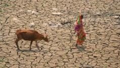 ગુજરાત : દુષ્કાળ જાહેર થાય પછીની પ્રક્રિયા શું હોય અને સરકારે શું કરવાનું હોય છે?
