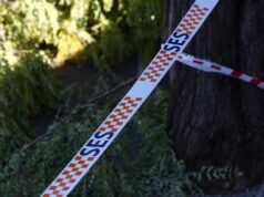 State shudders to early morning earthquake