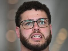 Greens senator takes leave amid inappropriate comments claims