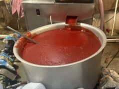 Gujarat factory sealed after potato paste, colour found in tomato ketchup production