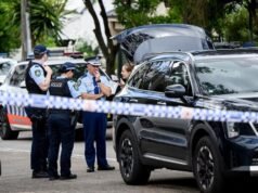 Gunman on the run arrested after stolen car torched