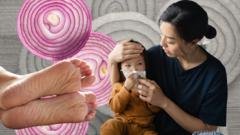 b72ba280-bcc7-11f1-bc2e-018d645d8d21.jpg