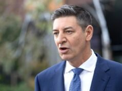 Libs payroll tax plan welcomed and panned
