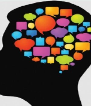 brain.jpg
