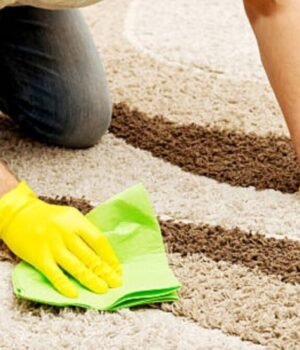 carpet_cleaning_1792551969809_QmH8_1792551969926_IgIR_7dee88ed-4c24-405c-ab8f-8f40687b979c_OyfB.jpg