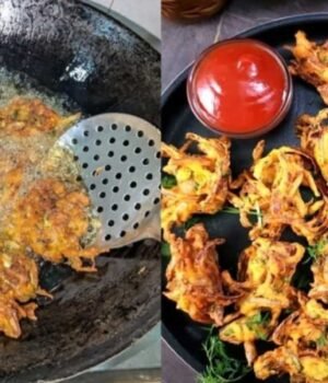 crispy_Pakoda_hack_1792598949047_9nhp_1792598955429_Jx8z_b469626c-9630-423b-8fa4-19db8578bcba_1X14.jpeg