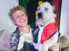 WA tradie Westyn Ruyter offers $10k reward after dog Bundy mysteriously vanishes near Balingup