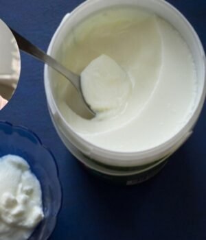 dahi_benefits_1791024576640_4BAl_1791024589965_Ei98_3c0f3d9a-e2ac-4825-a45b-ae24a208f84b_Ru8T.jpg