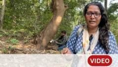 कर्जतच्या त्या जंगलाताला ग्राऊंड रिपोर्ट, जिथे हजारो झाडं तोडली जात आहेत…