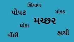 મચ્છર, હાથી, માંકડ…- આવી ગુજરાતી અટકો કેવી રીતે બની અને ક્યાંથી આવી?