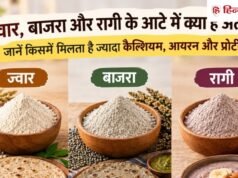 ज्वार, बाजरा और रागी के आटे में क्या है अंतर? जानें किसमें कितना कैल्शियम, आयरन और प्रोटीन