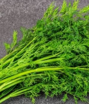 dill_leaves_benefits_1792574065728_32IB_1792574065838_VNKa_5f321e85-7e6f-41d1-b14b-6a67a278bd80_yHYb.jpg