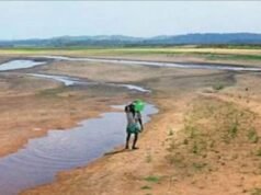 കാലവർഷം കനിഞ്ഞില്ല, തുലാമഴയിലും ആശങ്ക;
വരൾച്ചാ പ്രഖ്യാപനത്തിന് ശിപാർശ