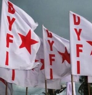 dyfi.jpg