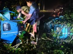ഇടുക്കിയില് ഓട്ടോക്ക് മുകളില് മരം വീണ് ഡ്രൈവര് മരിച്ചു