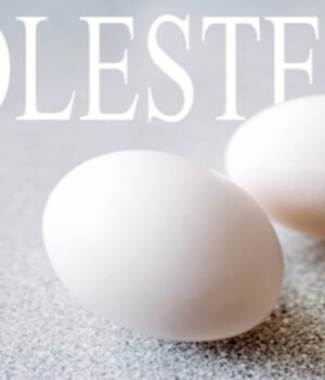 eggs_1792059399059_agiE_1792059406006_SXlO_af03abb7-fbf5-43c8-ad2e-f4b6bd5eb7b7_Ce6T.jpg