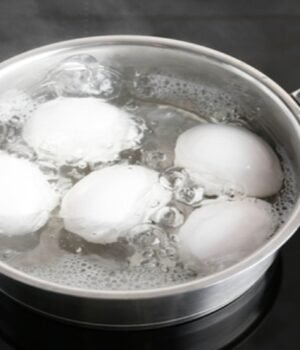 eggs_identification_tips_1791040243454_JlGM_1791040248572_TPLc_ba626546-6b4b-43ea-b8fb-ca99870ed519_i4OQ.jpg