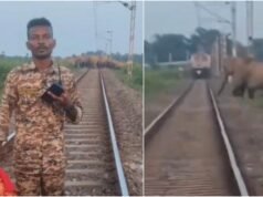 Forest guard waves cloth, alerts loco pilot as elephants cross tracks in Bengal