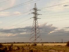 Genus acquires Kiwi telco for up to NZ$65m