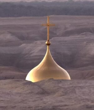 f11d3adaf8f38d1dbefb6b2a3baa85d27e4ce930-16x9-x0y0w1280h720.jpg