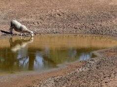 Warning El Nino could wipe $13b from Australian economy