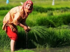 पीएम मोदी कल जारी करेंगे पीएम किसान योजना की 24वीं किस्त, 9.34 करोड़ से ज्यादा किसानों के खाते में आएंगे 2000 रुपये