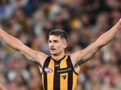 Suns snare Hawks duo, Roos still working on Blakey deal