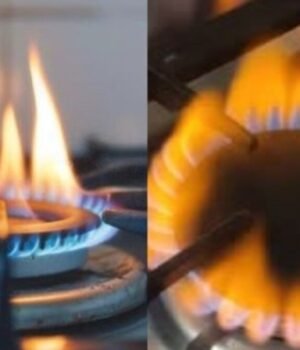 gas_Burner_1792682746615_3dmt_1792682754918_HGbK_63fc75ae-dfc6-4da5-be35-d79fbc6288f6_Dyme.jpeg