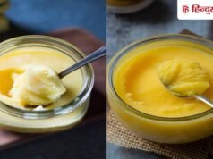 सफेद या पीला, कौन सा घी सेहत के लिए ज्यादा फायदेमंद है? रोज खाने से पहले जरूर जानें