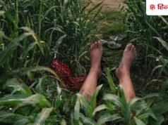 OTT : 3 एपिसोड की इस खौफनाक क्राइम थ्रिलर सीरीज को देख हिल जाएगा दिमाग, हर सीन देख खौल जाता है खून