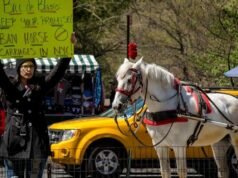 New York City votes to ban horse-drawn carriages after Indian tourist’s death