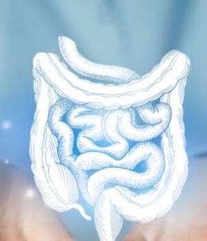 improve_gut_health_1792724306408_L5i8_1792724306515_2cPq_c5d4c84d-3bd8-49fb-b380-dd325309f010_zJ8w.jpg