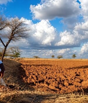in-september--maharashtra-declared-265-of-its-358-talukas--nearly-74-of-the-states-total--drought--082301483-16x9_0.png