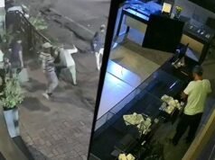 Burglars use curtains, iron rods to steal 251 watches in 10 mins in Jaipur