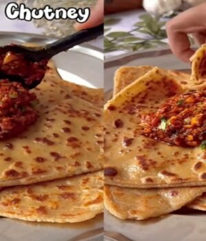 lehsun_chutney_1791276074285_9i5y_1791276080930_B3eb_0c77a869-737e-4ac0-a8af-952fc81d8999_ogtQ.jpg